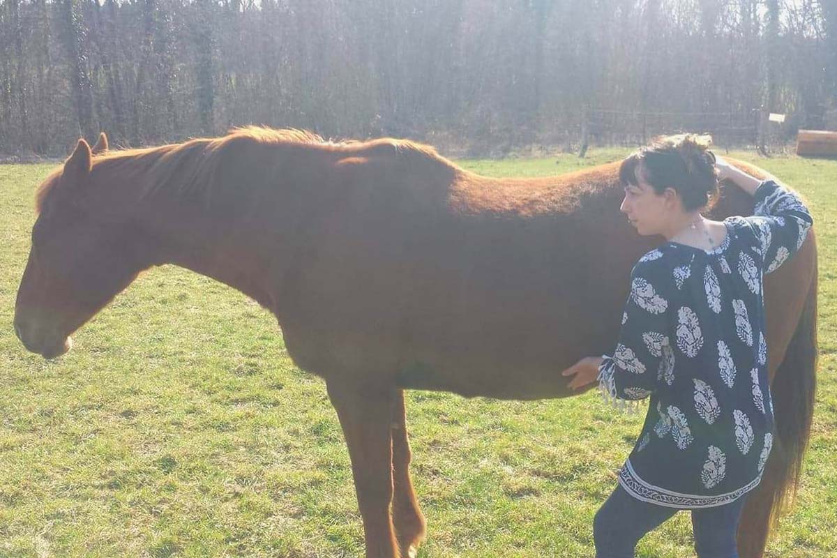 Shiatsu Equin - Elodie Seiler